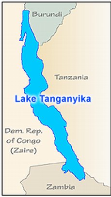 אגם טנגניקה -אתר אקווריום