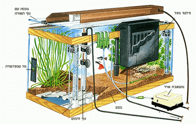 ציוד אקווריום