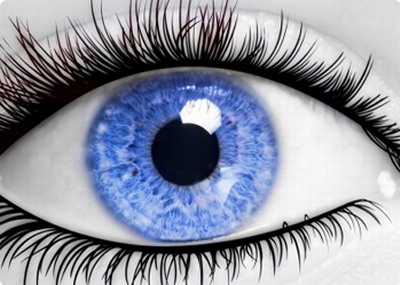 איזה צבעים העין קולטת ? אקווריום